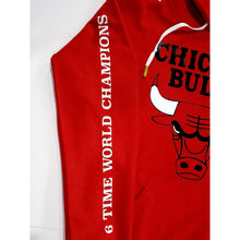 Load image into Gallery viewer, Champions Hoodie