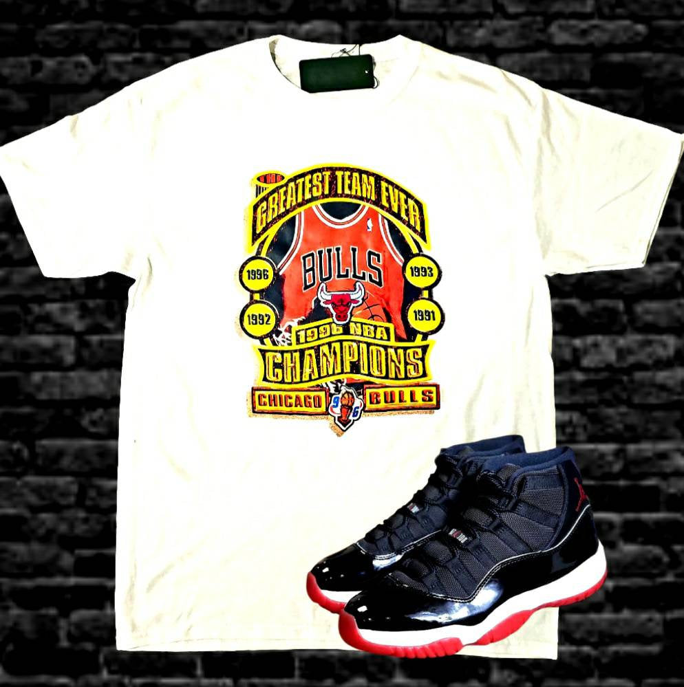 Vintage Red Chicago Bulls 1996 NBA Champs T-Shirt Sz. XL
