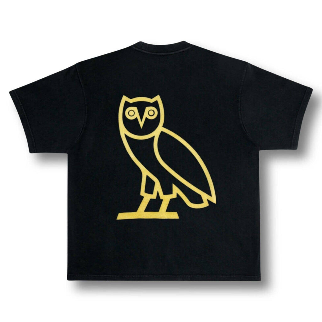 Drake Take Care Album Premium Heavyweight Boxy Vintage Distressed Style T-Shirt