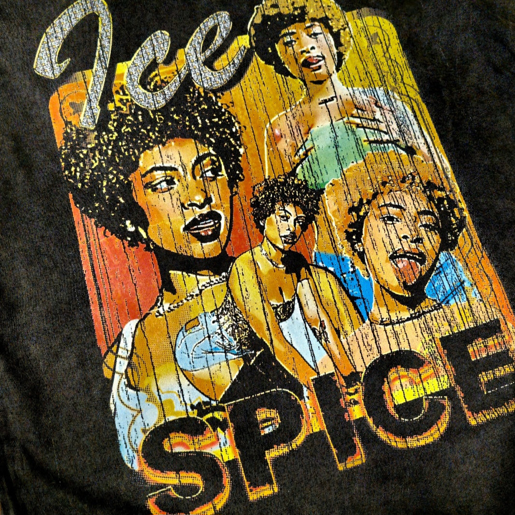 Ice Spice Munch album and tour merch premium distressed vintage style t-shirt